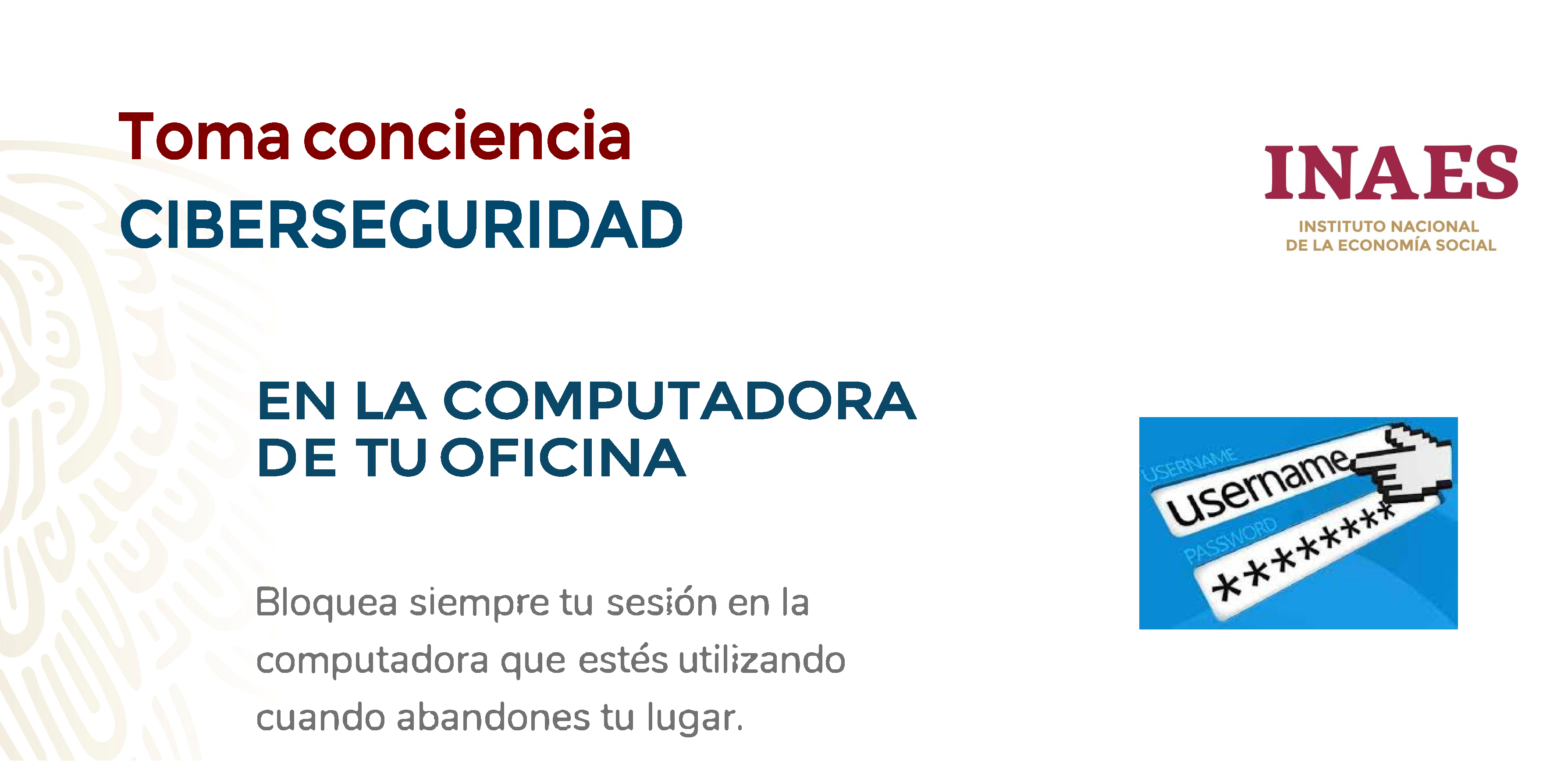 Ciber Seguridad